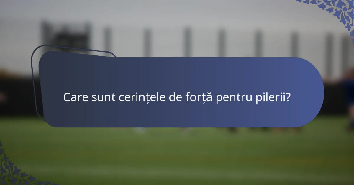 Care sunt cerințele de forță pentru pilerii?