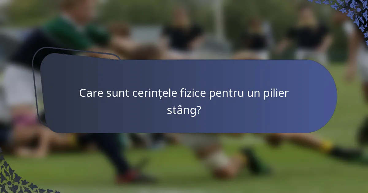 Care sunt cerințele fizice pentru un pilier stâng?